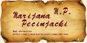 Marijana Pecinjački vizit kartica